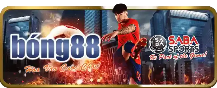 Tổng quan các môn thể thao phổ biến tại QH88